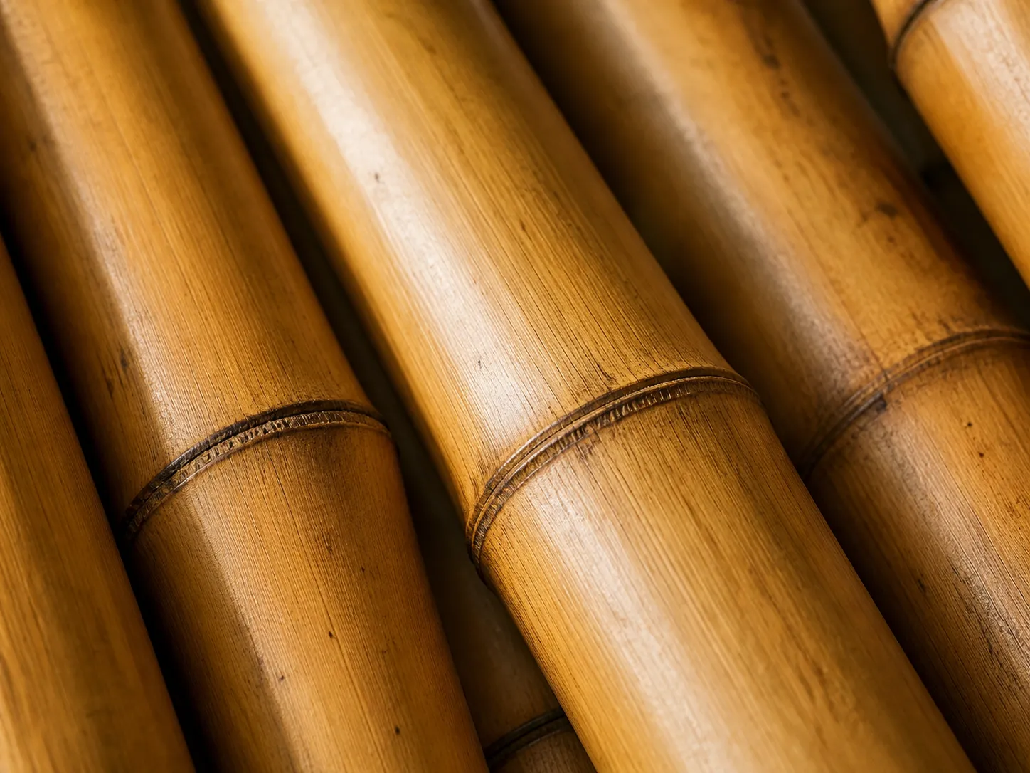 Giant bamboo culms from Bali highlands, treated for tropical climate use